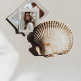 The Shell - Polaroid Mockup